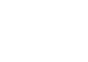 LOGO CFR Tampa Bay